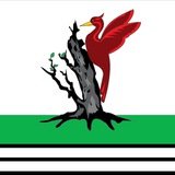 Светлый Елабуга