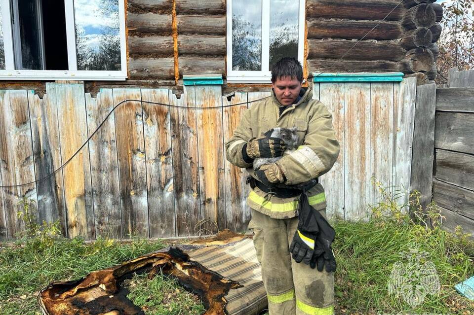 А сейчас к добрым новостям. Берегите своих любимцев…  В Забайкальском крае пожарные спасли серого кота из горящего дома в селе Быково Красночикойского район  По данным ведомства, в доме загорелись домашние вещи. Прибывшие на место пожарные обнаружили, что в жилище нет людей, но остался домашний кот. Спасатели быстро вынесли его на улицу. Кот не успел надышаться угарным газом и сейчас чувствует себя хорошо.  Причина пожара устанавливается сотрудниками государственного пожарного надзора.