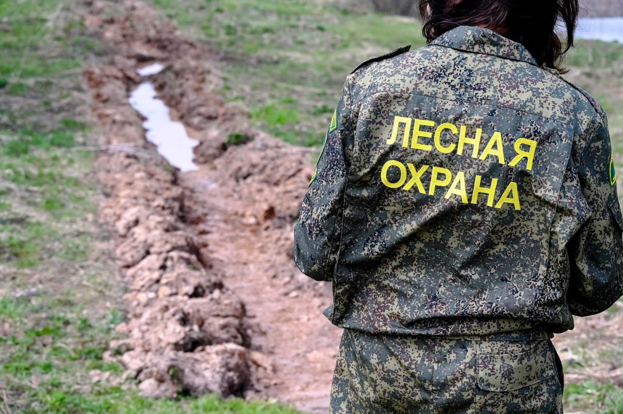 В этом году пожароопасный период может начаться раньше, чем обычно  Малоснежная зима и ранняя весна создали все условия для увеличения риска возгораний. С приходом весны в Сергиево-Посадском округе наблюдается аномальная ситуация с погодными условиями. Несмотря на то, что календарь показывает начало марта, снега в лесах осталось совсем немного. Остатки снега, которые тают, быстро впитываются в землю, и уже сейчас в лесу можно увидеть сухую траву.  «Если в предыдущие годы началом пожароопасного периода считался 1 апреля, то в этом году он может стартовать уже в марте», — отметил Евгений Живаев.  С этого года лесничество самостоятельно проводит все мероприятия по предотвращению лесных пожаров. Ранее эту работу выполнял «Центрлессхоз», но в результате реорганизации все обязанности по охране лесов и предупреждению пожаров перешли к лесничеству.  Как только снег полностью сойдёт, техника лесничества начнёт обрабатывать территории, прилегающие к полям. Важно отметить, что пожароопасность особенно возрастает на заброшенных участках, заросших травой или молодыми деревьями.   В этом году особое внимание будет уделено обеспечению готовности к любым вызовам, связанным с пожарной безопасностью. Главный лесничий округа также подчеркнул, что во время пожароопасного периода леса будут патрулироваться особенно тщательно, а нарушителей будут штрафовать.  Однако пока пожароопасный период не объявлен официально, специалисты призывают жителей воздержаться от разведения костров в лесу, поскольку уже сейчас сложились условия, способствующие возникновению лесных пожаров.