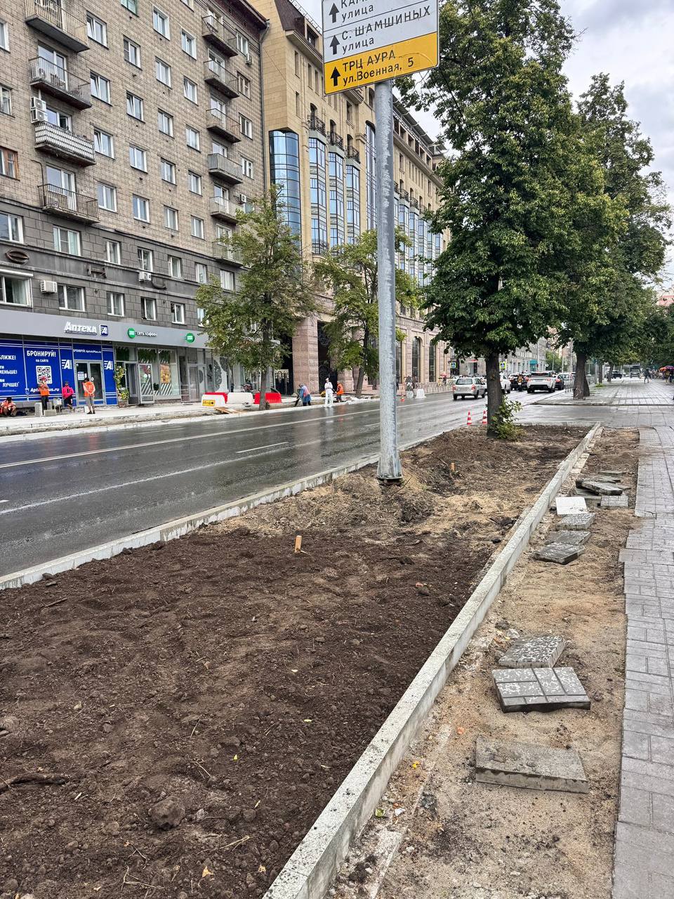 Тем временем городские службы приступили к восстановлению липовой аллеи на улице Орджоникидзе. На улице Орджоникидзе — от Красного проспекта до Мичурина — в начале июня убрали сухие деревья. Рабочие приступают к высадке 24 новых крупномерных лип. Ко Дню города Новосибирск получит восстановленную липовую аллею из 42 деревьев. ——————————