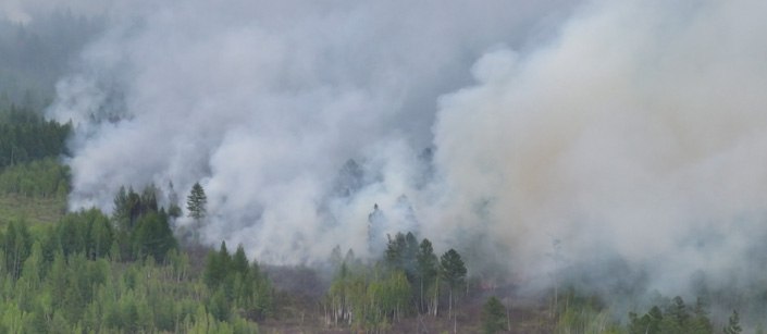Большой пожар действует вблизи села Шишкино Читинского округа Один из трёх самых масштабных пожаров действует вблизи села Шишкино Читинского округа. 57 тысяч гектаров уже пройдено огнём. Практически сотня специалистов борются со стихией. 8 июня на место для координации работы выезжал глава региона Александр Осипов. Подробности у наших коллег.