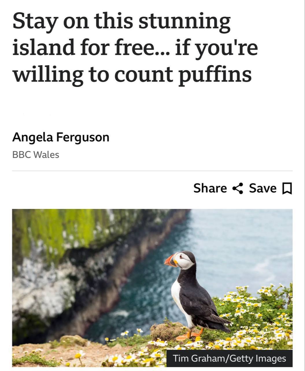 На острове у берегов Уэльса предлагают жить бесплатно Нужно только согласиться считать тупиков Добровольцев приглашают на остров Скомер для учета редких птиц из Красной книги Работать нужно вечером когда пернатые возвращаются с моря Взамен обещают жилье оплату проезда и стипендию до 50 тыс рублей