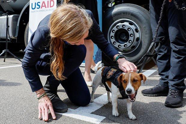 Украинский пес Патрон раскритиковал Илона Маска за закрытие USAID  В своём аккаунте животное «призналось», что оно – еще один проект USAID. Патрон рассказывал украинским детишкам о правилах безопасности  спасибо, хотя бы без трансгендеров обошлось! . О том, кто и сколько зарабатывал на этом проекте, пес «промолчал».    Подпишись, Правда за нами