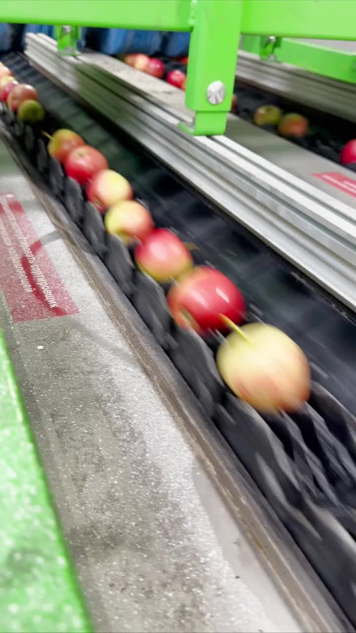 Дагестан удваивает мощности хранения плодоовощной продукции к 2026 году