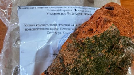  ПОД ПЕНЗОЙ БУЙНАЯ БАБА «ОТОВАРИЛА» ПОЛИЦЕЙСКОГО КИРПИЧОМ ПО ГОЛОВЕ Сцена с кирпичом разыгралась в парке города Спасска. Старший полицейский вневедомственной охраны собирался задержать хулигана, но подруга правонарушителя оказалась резко против! Нашла неподалёку кусок кирпича и саданула им сотрудника по затылку! Полицейскому повезло — только ушибы и ссадины, а резкую женщину намедни оштрафовали на 25 косарей и отправили на 6 месяцев за решётку. Виновна! И ещё легко отделалась! Но... кто ответит за кирпичи, разбросанные по парку Спасска..?
