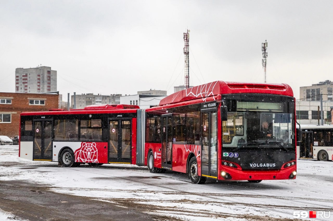 1  2  3  4  5   Автобусы-гармошки выйдут на пермские улицы уже в феврале. Об этом сегодня заявил мэр Эдуард Соснин в прямом эфире во «ВКонтакте».  — Первые 35 автобусов мы уже получили опережающим темпом. Сейчас они регистрируются, страхуются, водители переучиваются, — рассказал Эдуард Соснин. — Сейчас я поставил задачу, чтобы в феврале эти автобусы, где возможно, уже выводили на линию, не дожидаясь июля.  Так власти хотят избавиться от давки пассажиров в утренний пик и повысить комфорт поездок для пермяков. В дептрансе   уточнили, что сроки, маршруты и количество автобусов ещё прорабатываются, подробностями обещают поделиться позже.    Подписаться   Прислать новость