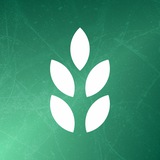 Аватар Телеграм канала: СКС говорит!