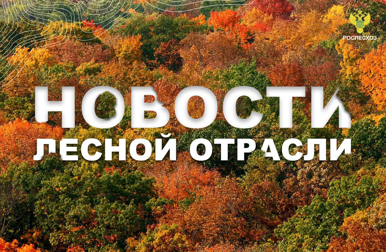 ТАСС Рослесхоз готов за 3 5 лет восстановить леса Донбасса и Новороссии ЛПК Сибири В Курской области заготовлено более 3 5 тонн семян для восстановления лесов Лесной комплекс Впервые за 30 лет в лесах Приангарья не зафиксированы очаги хвоегрызущего вредителя Якутия Daily В Якутии с виновников лесных пожаров взыщут свыше 13 5 млн рублей Мой Сыктывкар В Коми высадили 536 тысяч деревьев