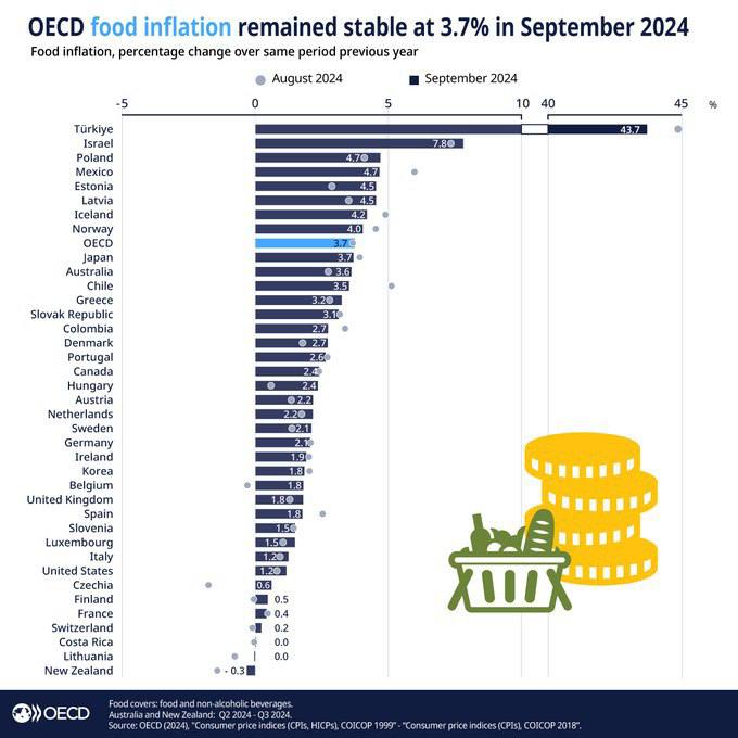 Турция стала страной ОЭСР с самой высокой продовольственной инфляцией
