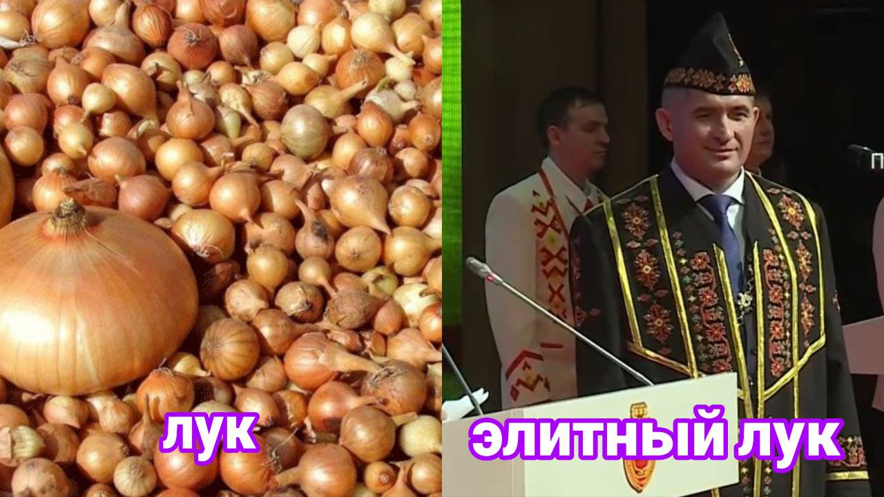 Элитный чувашский лук севок экспортируют в шесть стран мира В списке Беларусь Молдова Казахстан Монголия Болгария и Румыния cheb ru news shownews 311806