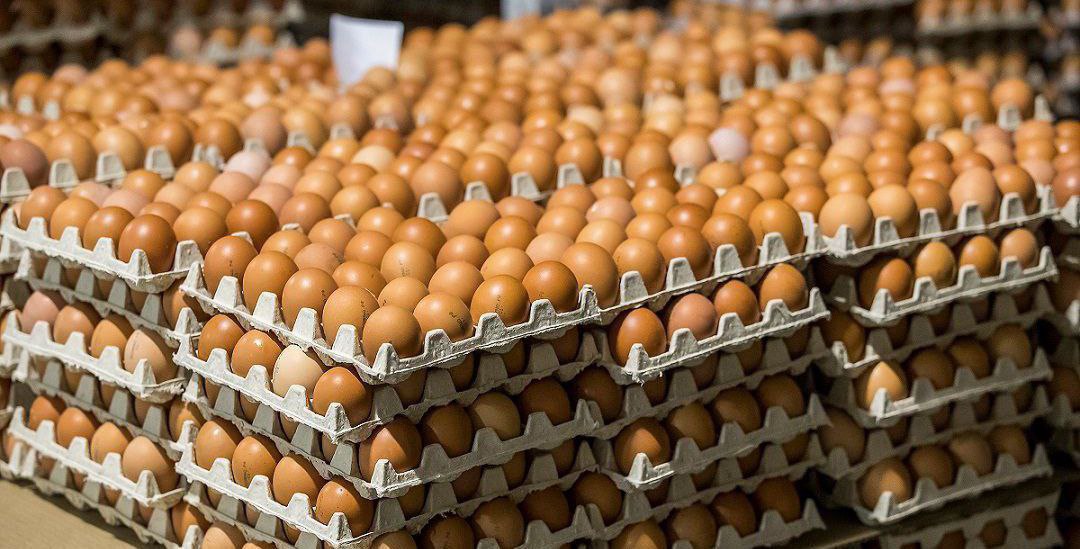 В Казахстане запретили импорт куриных яиц Минсельхоз ввел запрет на ввоз куриных яиц в Казахстан всеми видами транспорта из третьих стран и государств членов ЕАЭС Ограничения будут действовать в течение месяца с 11 декабря 2025 года по 11 января 2026 года Исключение сделали только для транзитных перевозок куриных яиц через территорию Казахстана Ранее LogiStan писал о том что импорт яиц в Казахстан в 6 9 раза превышает экспорт Logistan info Логистика Экономика