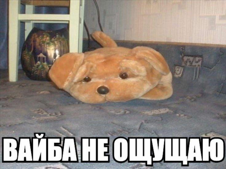 27 сентября приют Щенячий патруль организует благотворительную акцию Лапа дружбы Она пройдет на площадке для выгула собак в Горкинско Ометьевском лесу На событии можно познакомиться с собаками из приютов и забрать питомца домой сделать пожертвования посетить лекции мастер классы и другие мероприятия   inde io news v gorkinsko ometevskom lesu projdet akcziya lapa druzhby