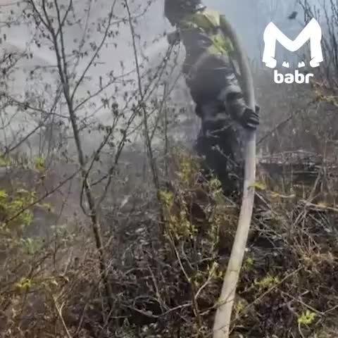 Пожары в Братске и Ванино: последствия сжигания мусора и растительности