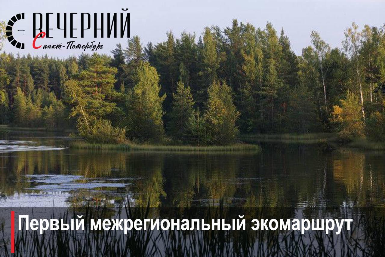 ‍  В Петербурге скоро появится «Озерная тропа»  Специалисты уже приступили к реализации проекта. Новый экомаршрут соединит город с Ленинградской областью и свяжет две особо охраняемые природные территории — «Озеро Щучье» и «Комаровский берег».   Городская часть маршрута будет оборудована для комфортных прогулок на природе. Ее длина составит около 14 км. А общая протяженность «Озерной тропы» достигнет 45 километров.  Фото: Роман Пименов Вечерний Санкт-Петербург