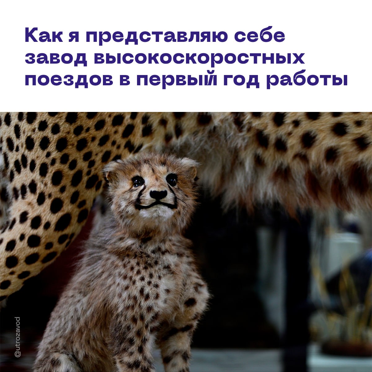 На Урале поняли, что нужно ускоряться. Поэтому в Верхней Пышме решили создать первый в России центр разработки высокоскоростных поездов. На площади в 67 «квадратов» расположатся проектные лаборатории, испытательные площадки, конструкторское бюро и, конечно же, производственные цеха. Запуск производства планируется на конец 2026 года, а первые испытания российского высокоскоростного электропоезда состоятся в 2027 году. Обязательно сообщим вам об этом, когда настанет время! #жд #транспорт начинается с завода