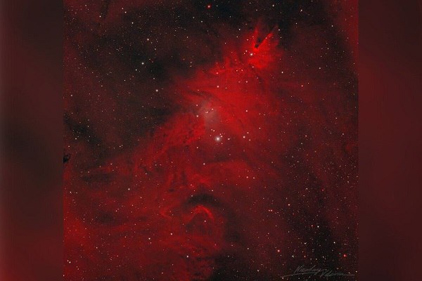 Роскосмос опубликовал снимок туманности Рождественская ёлка Она схожа с деревом украшенном сверкающими гирляндами и звёздами В созвездии Единорога находится удивительная область звёздообразования туманность NGC 2264 прозванная Рождественской ёлкой за сходство с праздничным деревом отмечается в Telegram канале госкорпорации Подписаться на Говорит Москва Telegram VK MAX