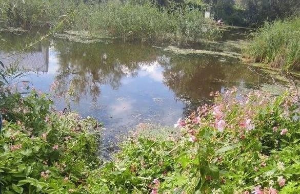 ⏺Малыш утонул в пруду у дома В Алтайском крае двухлетний ребёнок погиб, упав в водоём на приусадебном участке. По предварительным данным, мальчик остался без присмотра и вышел во двор, где находился пруд в 25 метрах от дома. Мать обнаружила малыша без сознания в воде. Несмотря на срочную медицинскую помощь, спасти его не удалось. Семья состояла на учёте как неблагополучная. Следственный комитет возбудил уголовное дело по статье о причинении смерти по неосторожности. Прокуратура взяла расследование под особый контроль.