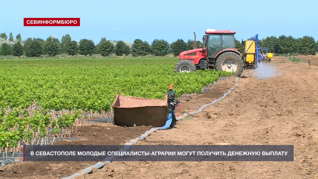 В Севастополе молодые специалисты-аграрии могут получить выплату в 250 тысяч рублей Соответствующий проект постановления был принят на заседании городского Правительства в понедельник, 21 июля. На единовременную выплату могут претендовать специалисты в возрасте до 35 лет, которые после получения профильного образования трудоустроились на предприятие агропромышленного комплекса в течение трёх лет. НТС - Новости Севастополя