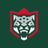 ХК «Ак Барс»