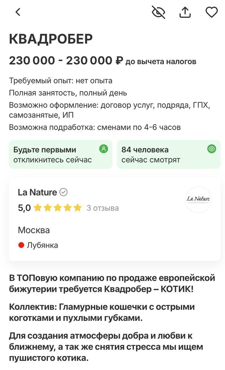 В Москве ищут квадробера-кота на зарплату ₽230 000 в месяц.  Ему нужно будет делать сотрудникам комплименты, контролировать и улучшать их настроение, а также сглаживать конфликты в офисе. Главное — иметь гладкую шерсть и уметь ходить в лоток.  Офисные работяги с зарплатой в 2 раза меньше сейчас всплакнули.  Отдел жалоб