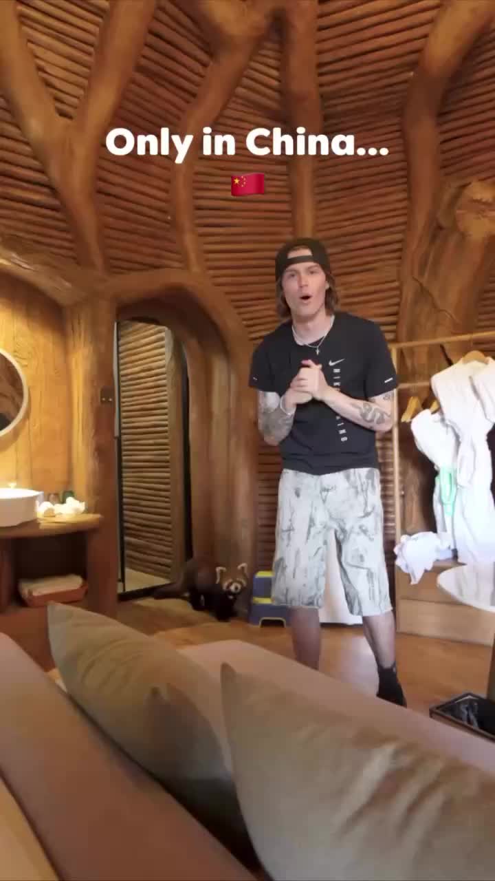 Китайский отель в Чунцине предлагает уникальный номер с красной пандой за 27 тысяч рублей в сутки