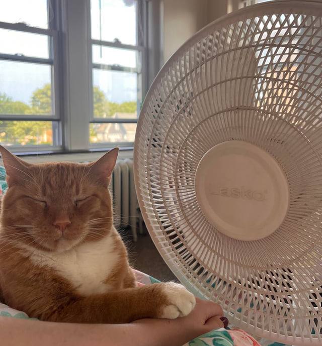 Жаркое и засушливое лето будет в Москве Фобос Самые высокие температуры прогнозируются в июле августе уточнил ведущий специалист центра погоды Фобос Евгений Тишковец Отправьте тому кто соскучился по теплу