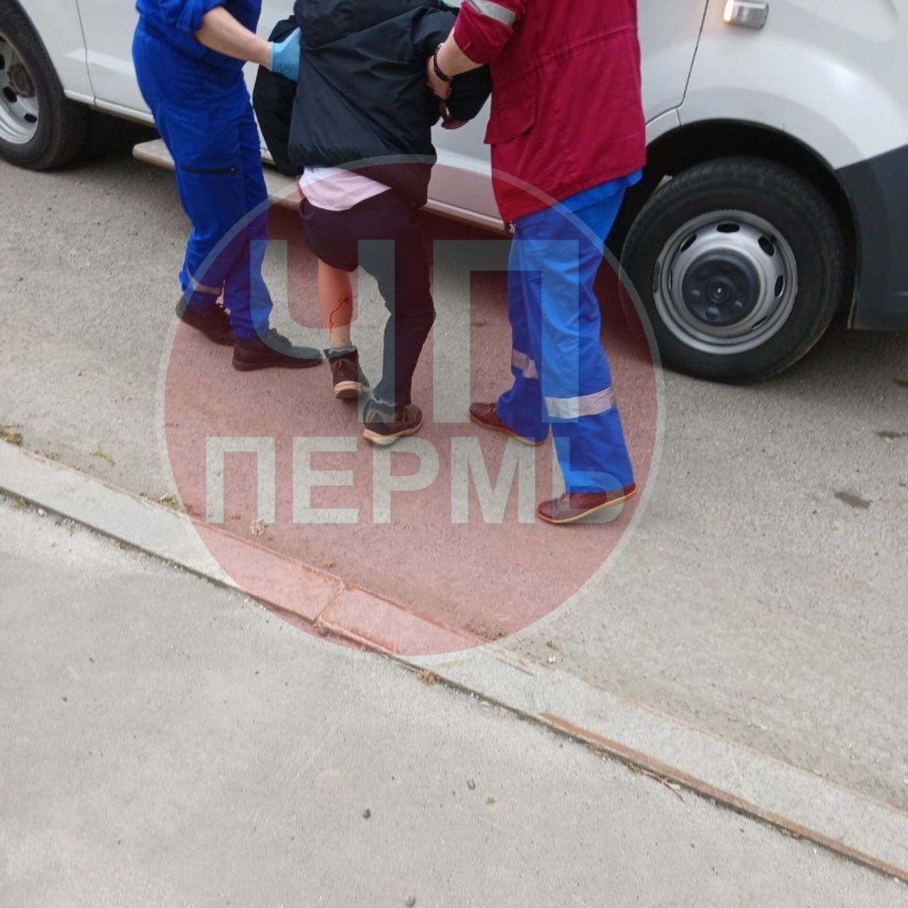 После публикаций о нападении бродячих собак на ребёнка в Перми возбуждено уголовное дело. В пермский пабликах появилась информация о том, что сегодня на перекрёстке ул. Клименко и Пермская собаки напали на детей, возвращавшихся с родителями с мероприятия. Пострадал мальчик. По данным краевого СУ СКР, пострадавшему восемь лет. Ему потребовалось амбулаторная медпомощь. Следователи возбудили уголовное дело по ч. 1 ст. 293 халатность . Прокуратура взяла ход расследования на контроль.