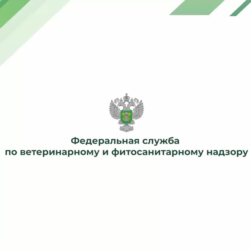 Россельхознадзор поддерживает ветеранов и проводит контрольные мероприятия в Крыму