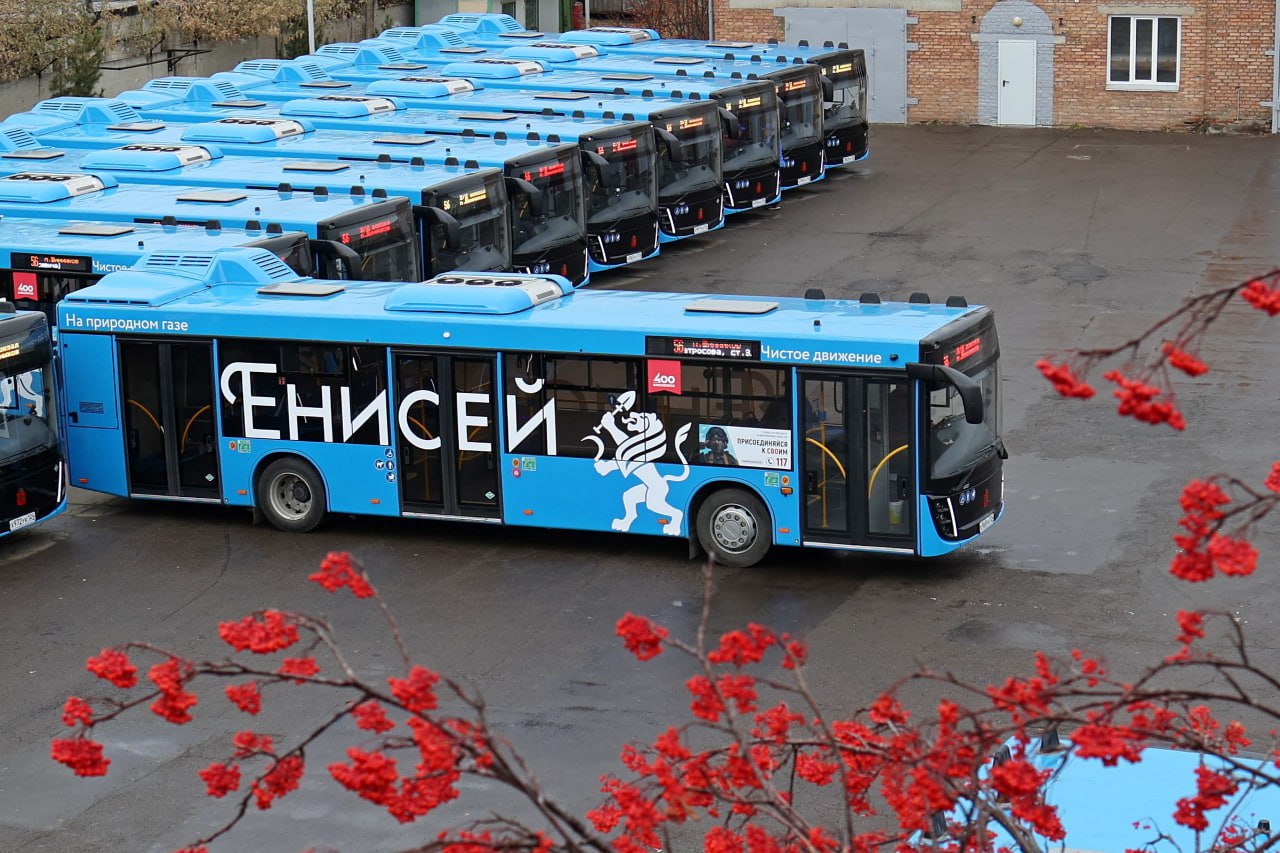 Новые газомоторные автобусы выходят еще на два маршрута С сегодняшнего дня эти автобусы будут ездить на маршрутах 31 и 55 krasnoyarsk