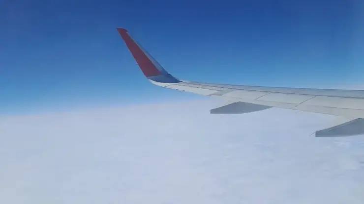 Один из перевозчиков запускает прямой рейс между Омском и Улан-Удэ    С 5 октября этого года один из российских авиаперевозчиков откроет долгожданное прямое авиасообщение между Омском и Улан-Удэ. Билеты на новый рейс уже поступили в продажу на официальном сайте и в мобильном приложении RuStore.  Новый маршрут соединит два крупных сибирских города, значительно сократив время в пути и стимулируя развитие внутреннего туризма.  Фото: sibnovosti.ru       предложить новость