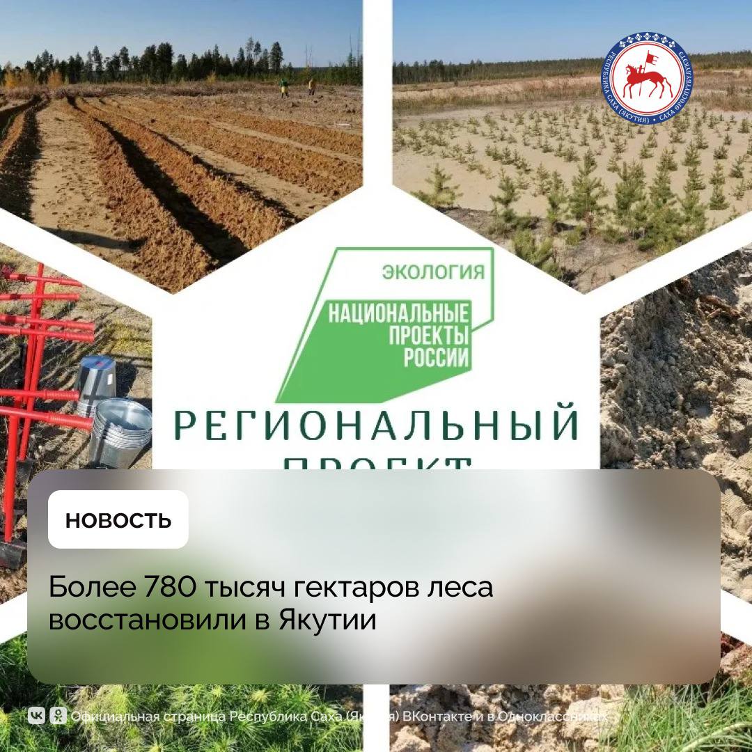 В рамках национального проекта «Экологическое благополучие», реализуемого по решению Президента России Владимира Путина, и стратегического указа Главы Якутии Айсена Николаева «Об экологическом благополучии Республики Саха Якутия » в Якутии реализуется региональный проект «Сохранение лесов». С 2019 по 2024 год проведено восстановление лесных насаждений на общей площади 788,3 тысяч гектаров. «Цель проекта «Сохранение лесов» — обеспечить равновесие между вырубкой и восстановлением лесов, стремясь к показателю 100% по сравнению с прошлым годом. По основному показателю «Отношение площади лесовосстановления и лесоразведения к площади вырубленных и погибших лесных насаждений» исполнение показателя по годам составляет: в 2019 году – 100%, 2020 году – 1248,7%, 2021 году – 501,6%, 2022 году – 178%, 2023 году – 225,7%, 2024 году – 996,8%», – сообщили в Министерстве экологии, природопользования и лесного хозяйства Якутии. С 2019 по 2024 годы на средства из федерального бюджета на оснащение специализированных учреждений для охраны лесов от пожаров закуплено 175 единиц лесопожарной техники и 180 единиц оборудования. Подробнее: #ПравительствоЯкутии
