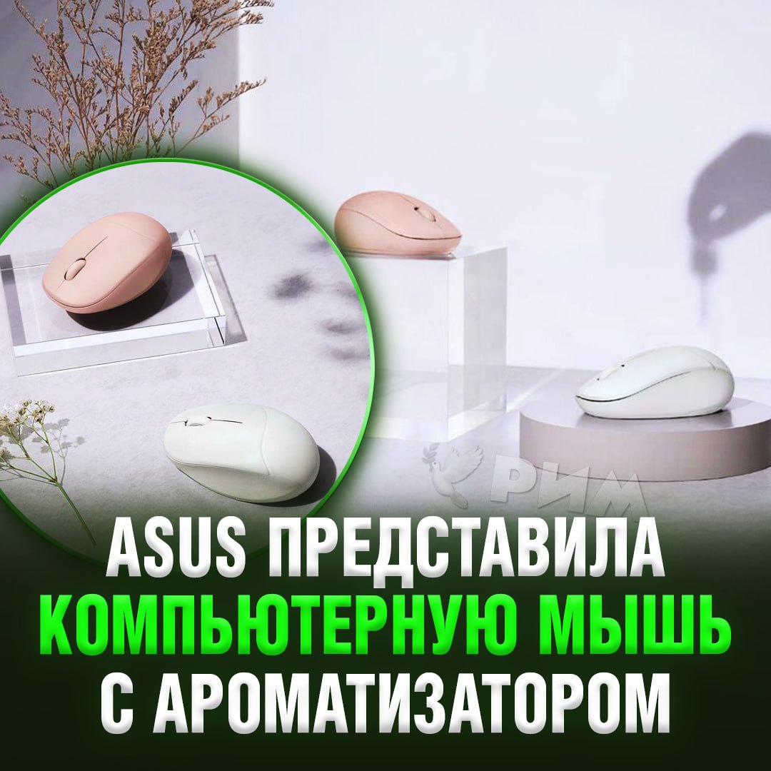 Встречайте, аромамышь для компьютера — Asus представила аксессуар с запахом  В Fragrance Mouse встроен флакон для ароматических масел или духов. Цена девайся пока неизвестна.    — имба, я бы взял   — че за бред…    Рифмы и Морген