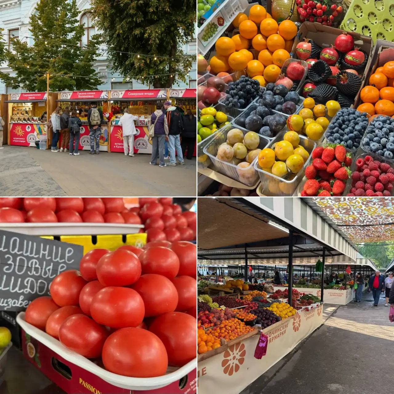 С начала года на рынках и ярмарках Кубани реализовали продукции на 187 миллиардов рублей Такой формат торговли уже давно востребован среди жителей Сегодня в крае более тысячи местных рынков и ярмарок Они располагаются на центральных улицах городов в спальных микрорайонах и в специально оборудованных местах вдоль трасс Для наших жителей и гостей края это возможность покупать свежие кубанские продукты по доступным ценам напрямую у производителя А это не только гарантия качества но и реальная поддержка местных фермеров