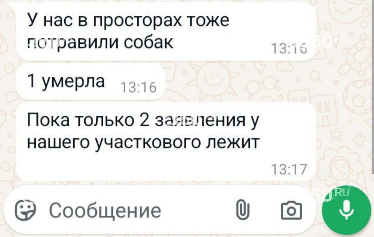 Кто-то травит собак в одном микрорайоне Подольска. Пострадали уже 12 псов. Собачники нашли подозреваемого и выяснили, что рассыпает отраву он по ночам. Теперь люди планируют писать коллективную жалобу.  У Анастасии собака тоже пострадала. В беседе с 360.ru женщина отметила, что ее пса спасла только его масса. По словам ветеринаров, маленькие собаки до клиники просто не доезжают.  «Утром был пассивный. Ближе к обеду собрались к врачу. У него уже понос был, много слюнных выделений. В клинике сказали, что начали отказывать почки. Нам сказали, что не могут дать гарантию, что выживет, отравление было очень сильным. Но за два часа поставили собаку на ноги. Его спасла масса. [Ветеринары сказали, что] маленькие собаки до них не доезжали».  Первый зампред комитета Госдумы по экологии Владимир Бурматов в беседе с нами обратил внимание, что от разбросанной отравы могут пострадать не только животные, но и люди.  «У некоторых правоохранителей есть впечатление, что [отравление животных] это незначительное преступление. Это логика неправильная, очень деструктивная. В основном от догхантеров страдают не бездомные собаки, в том числе дорогие, которые сотни тысяч рублей стоят. Могут пострадать и люди. Они на детских площадках разбрасывают, в песочницах. И что там ребенок в рот потащит?»