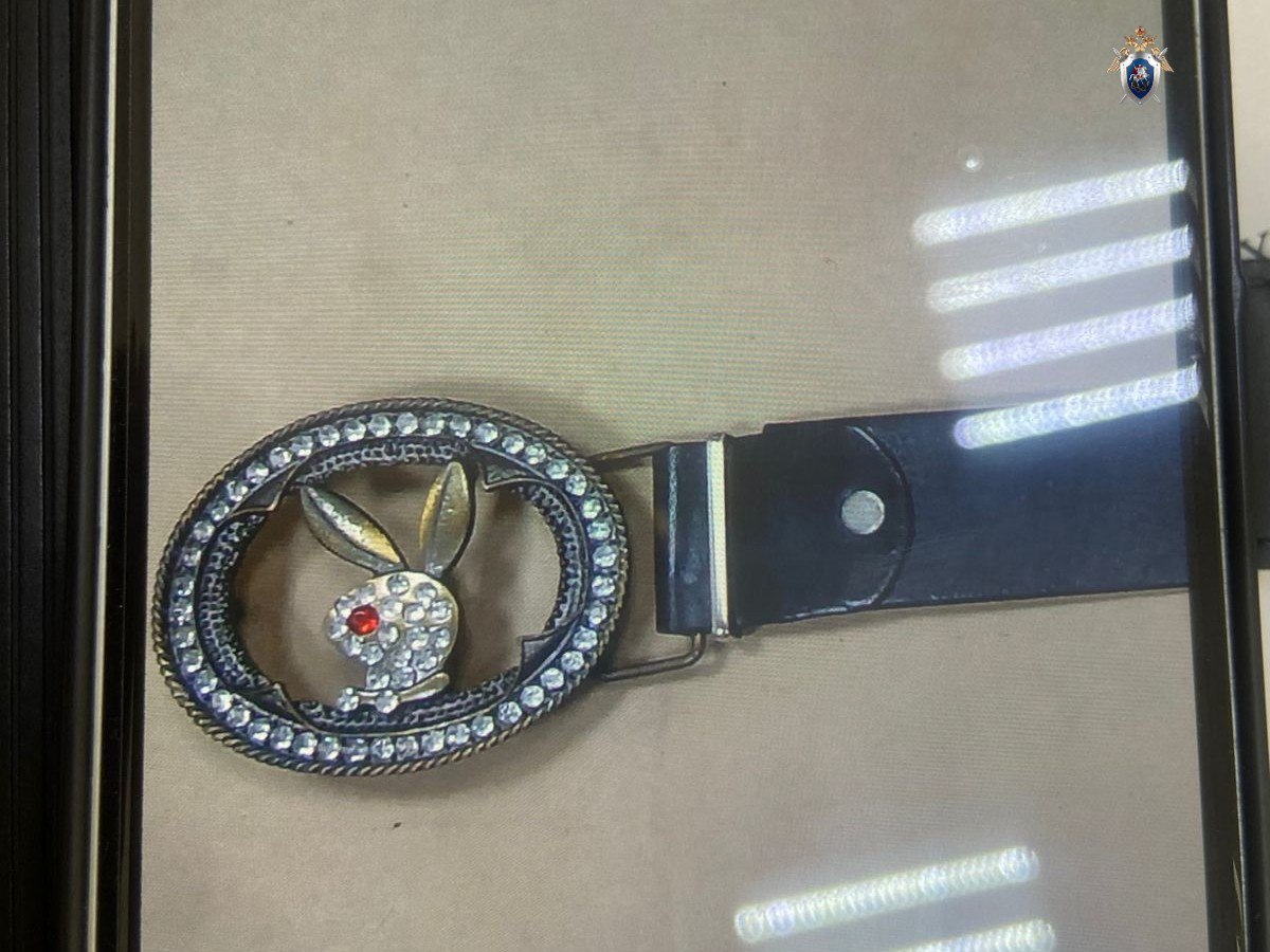 Хабаровчанин забил насмерть сожительницу ремнем с металлической бляшкой Региональный следком опубликовал фото злосчастного ремня Как уточнили в ведомстве 43 летний местный житель разгневался из за того что его сожительница употребляла чрезмерно много алкоголя в ходе конфликта мужчина стал бить женщину руками по телу и голове В ход пошел и ремень От полученных травм потерпевшая скончалась на месте Хабаровчанин заключен под стражу РЕН ТВ в Telegram в MAX