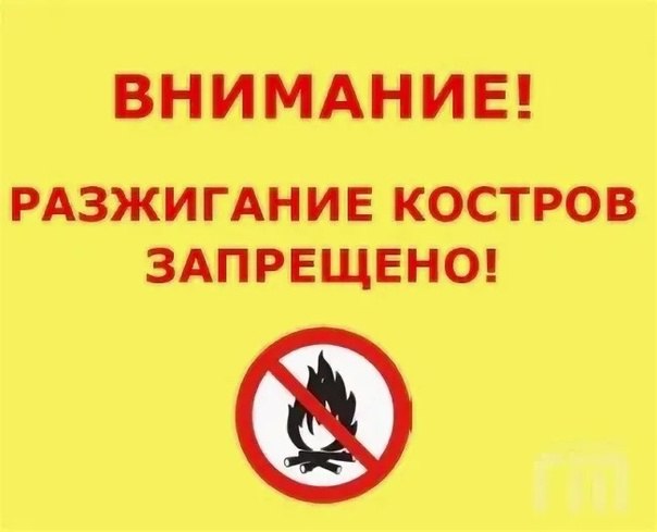 Отдел чрезвычайных ситуаций, охраны труда и окружающей природной среды Администрации городского округа город Ровеньки напоминает: на природе в лесах и на территории домовладений запрещается: разводить костер открытый огонь ; брать с собой в лес легковоспламеняющиеся жидкости, а также пропитанные ими материалы; оставлять в лесу стеклянные осколки: при попадании солнечных лучей эти осколки могут сфокусировать их, что приведёт к возникновению пожара; оставлять без присмотра открытый огонь если его разрешено разводить , разводить открытый огонь в ветреную погоду и без средств пожаротушения. Помните! Причины пожаров разные, а виновник один – человек, нарушающий и не выполняющий правила пожарной безопасности. Виновные в нарушении настоящих правил, в зависимости от характера нарушений и их последствий, несут ответственность в установленном законом порядке.