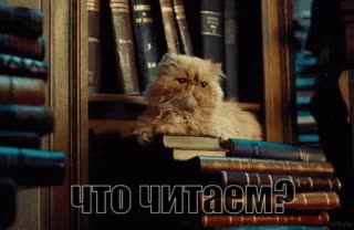 Подмосковье возглавило рейтинг по продажам книг на душу населения