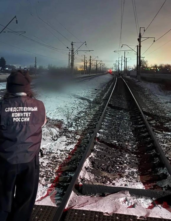 Грузовой поезд сбил мужчину и двоих детей Это случилось вечером 4 января на 5115 м километре перегона Усолье Сибирское Мальта Как уточнили в СК на предупреждающие звуковые сигналы локомотивной бригады мужчина не реагировал Машинист экстренно затормозил но трагедии избежать не удалось Возбуждено уголовное дело по статье Нарушение правил безопасности движения и эксплуатации железнодорожного транспорта повлекшее причинение смерти по неосторожности двух и более лиц Также проводит проверку транспортная прокуратура Фото vm sut Читайте IrCity в MAX