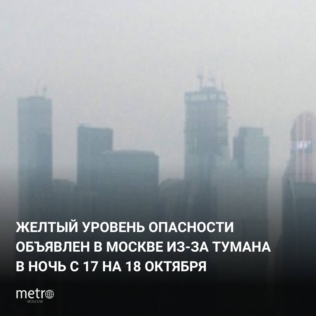 «Желтый» уровень опасности объявлен в Москве из-за тумана в ночь на пятницу    Газета Metro Москва   Подписывайтесь