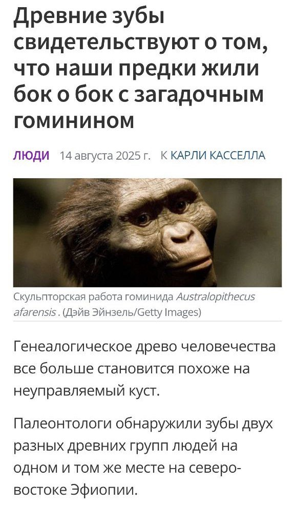 Исследователи, работающие в Эфиопии, обнаружили останки ранее неизвестной ветви человечества  Ископаемые, включая зубы, датируемые от 2,8 до 2,6 миллионов лет назад, принадлежат ранее неизвестному представителю рода Australopithecus.