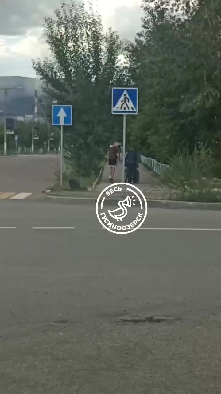 Подростки в Гусиноозерске и Нижневартовске совершают акты агрессии в отношении пожилых людей и животных