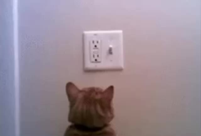 Часть Феодосии и Жуковского осталась без света из-за аварии