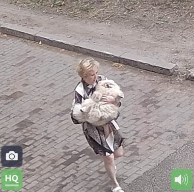 В Сыктывкаре женщина украла собаку. Хозяйка гуляла с малышом около Бабушкина 31, возле Центра коми культуры. Владелица животного отвлеклась, но вскоре заметила что питомца нет рядом. По камерам наблюдения удалось выяснить, что шпица унесла неизвестная женщина.