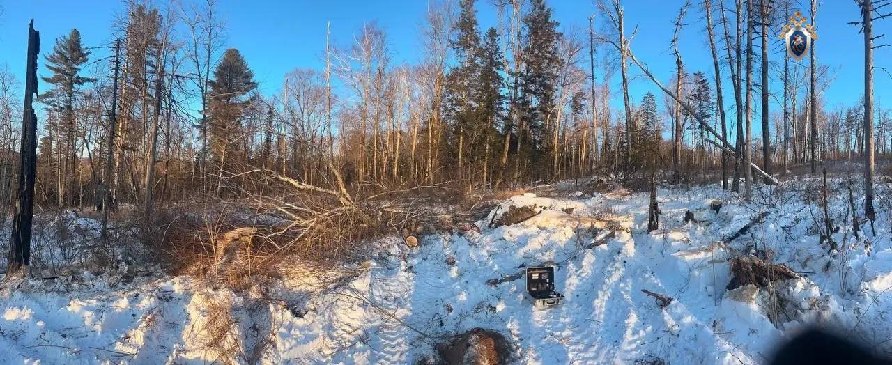 Спиленное дерево унесло жизнь жителя п Известковый ЕАО Трое жителей поселка Известковый отправились в лес длязаготовки дров Один из них решил спилить ствол белой березы но не убедился в отсутствии посторонних в зоне видимости и спиленное дерево упало на его товарища который скончался спустя непродолжительное время По данному факту возбуждено уголовное дело Подробнее читайте по ссылке   riabir ru 475122