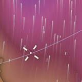 Аватар Телеграм канала: ЭпиВаКороновости (Граис)