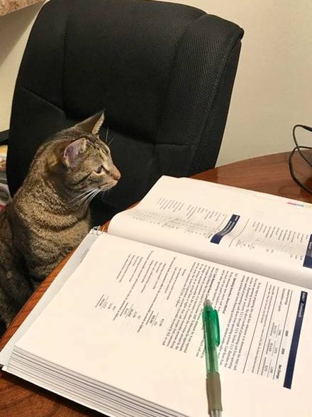 С 1 января 2026 года в силу вступил закон РФ который позволяет школьникам не сдавшим ОГЭ не получившим аттестат бесплатно учиться в колледжах на рабочих специальностях Очень мудрое новшество в системе образования нашего государства Стране нужны квалифицированные рабочие а детям у кого не получается хорошо учиться нужен шанс получить востребованную профессию и найти своё место в жизни Список доступных профессий например повар автомеханик медсестра и учебных заведений определяют регионы   В Геленджике на 1 сентября 2025 года аттестаты об основном общем образовании получили 1406 школьников 79 выпускников аттестаты с отличием 14 обучающихся не допущены к государственной итоговой аттестации На пересдачу в сентябре остался 141 ребенок