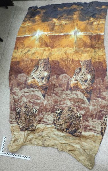 Камчатские следователи более полутора лет ищут мать убитого новорожденного За помощь региональному СК России в установлении местонахождения женщины подозреваемой в убийстве новорожденного ребенка назначено вознаграждение в 1 миллион рублей сообщили агентству КАМЧАТКА ИНФОРМ в ведомстве В марте прошлого года на городской свалке в столице Камчатки обнаружили страшную находку Ребёнок славянской внешности был рождён в период с 15 февраля до 6 марта живым и доношенным Его тельце было замотано в пододеяльник с изображением леопардов Возможной причиной смерти стало переохлаждение Было возбуждено уголовное дело по признакам преступления предусмотренного ст 106 УК РФ убийство матерью новорождённого ребёнка Полиция гарантирует вознаграждение в размере 1 миллиона рублей за сведения ведущие к раскрытию дела Полная конфиденциальность и защита данных гарантирована сказали в СК Граждан обладающих значимой для следствия информацией просят обращаться круглосуточно по телефонам 7 913 014 04 05 либо 102 КАМЧАТКА ИНФОРМ новости Камчатки в Telegram Фоторепортажи и эксклюзивные материалы на kamchatinfo com НАПИСАТЬ НАМ