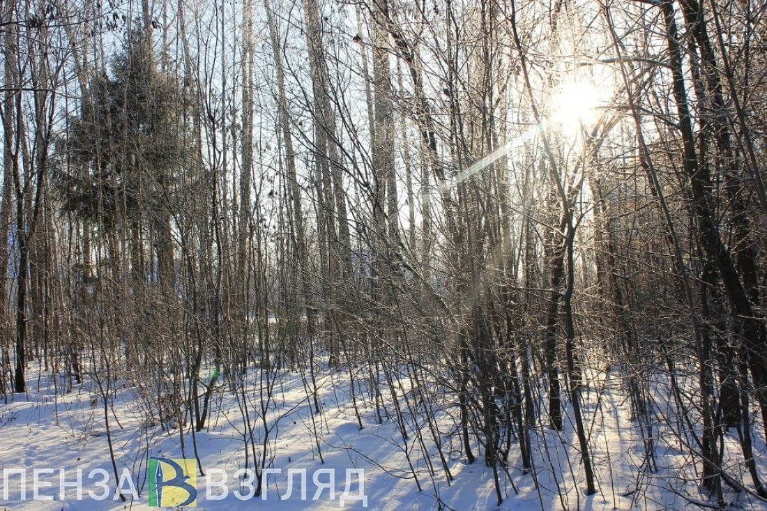 Мокрый снег пройдет в Пензенской области 29 ноября  В Пензенском центре по гидрометеорологии и мониторингу окружающей среды заявили, что 29 ноября опасных природных явлений не прогнозируют. Однако существует риск возникновения чрезвычайных ситуаций на трассе М-5 «Урал» в Пензенской области. Причина — снег, мокрый снег, гололедица.  В пресс-службе ГУ МЧС России по региону информируют, что в ночь с 28 на 29 ноября температура воздуха составит от -3 до -8 градусов, днем ожидается от -3 до +2 градусов.  В Пензе ночью температура опустится до -5 градусов, будет идти небольшой снег. Днем столбики термометров покажут -2 градуса, без существенных осадков.  Похожая погода и в Кузнецке. Там завтра ночью температура воздуха составит -5 градусов, а днем -1, рассказали представители Росгидромета. В городе осадков не ожидается.  Жителям Сердобска синоптики обещают -4 градуса ночью и -2 днем, без осадков.