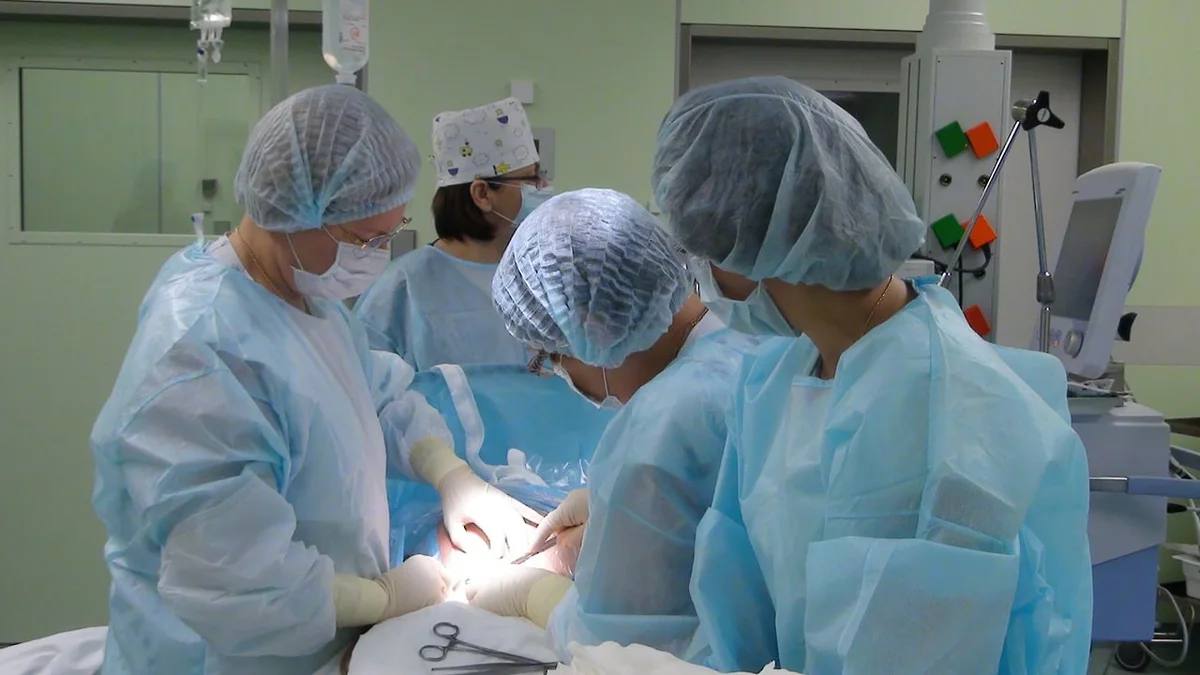 Врачи провели шестичасовую операцию по восстановлению носа девятилетнему мальчику, пострадавшему от нападения хаски в Сочи 26 февраля. Об этом сообщает ТАСС со ссылкой на отца ребенка Валентина Королева. Медицинские специалисты планируют провести реконструктивно-пластические операции для восстановления мягких тканей лица. Пока мальчик перенес три операции, одна из которых продолжалась 14 часов. Заведующий отделением реконструктивно-пластической хирургии РДКБ Антон Нарбутов сообщил, что для этой процедуры специалисты использовали материал из лобной области черепа, где была взята костная ткань, предварительно растянутая экспандером, и применена для формирования носа. Telegram-канал министра здравоохранения Краснодарского края Евгения Филиппова Подписывайтесь на «Ъ-Сочи»