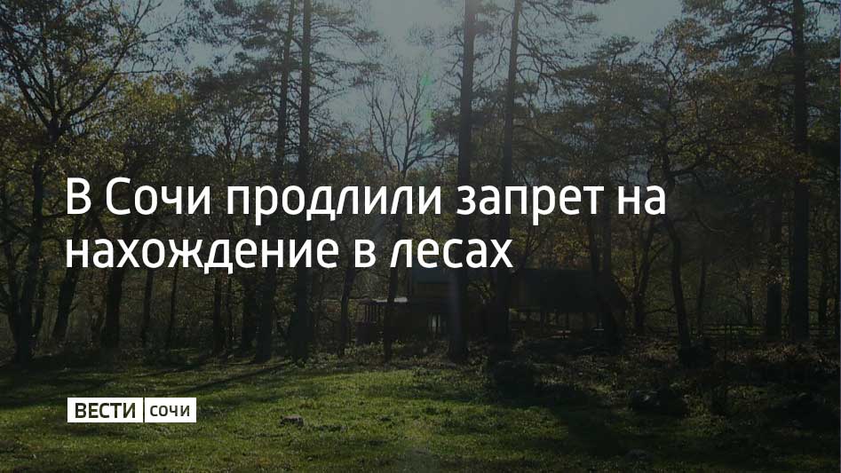 Ограничения на пребывание в лесах Краснодарского края продлили до 30 июля. Эти меры действуют с 12 июня из-за повышенной пожароопасности. До конца июля в лесах Краснодарского края запрещено разводить костры и использовать мангалы, а также ограничен въезд транспорта, сообщили в Центре управления регионом Краснодарского края. При этом пешие прогулки в лесах не запрещены.